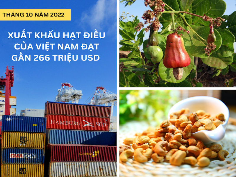 Tình hình xuất khẩu hạt điều của Việt Nam tháng 10 năm 2022