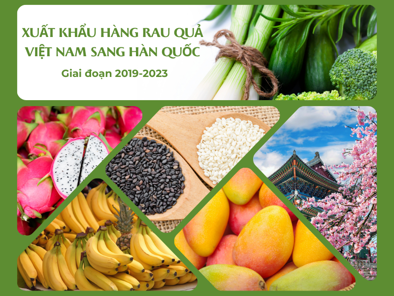 Xuất khẩu hàng rau quả Việt Nam- Hàn Quốc giai đoạn 2019-2023