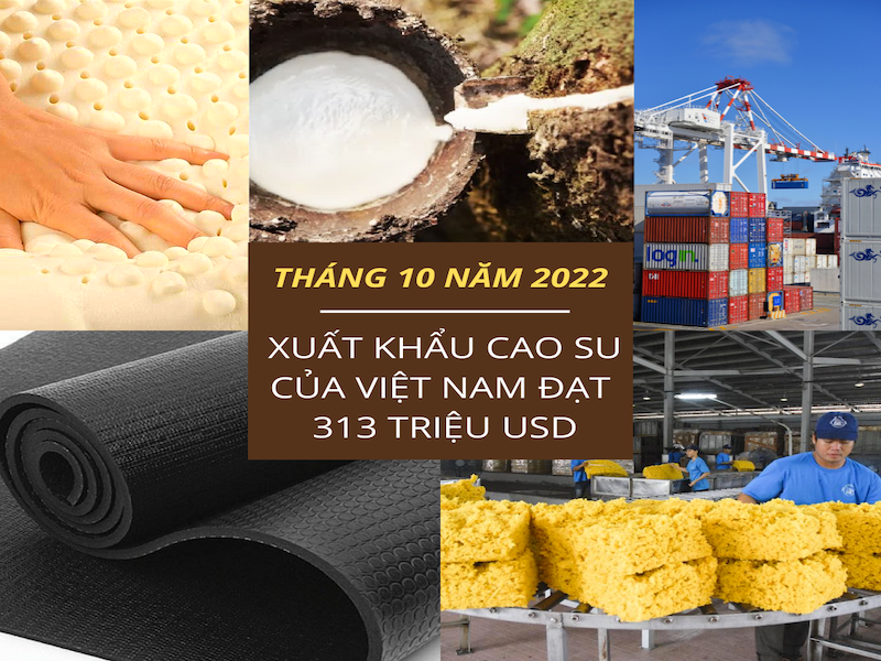 Tháng 10 năm 2022, xuất khẩu cao su của Việt Nam tăng trưởng 12% về trị giá