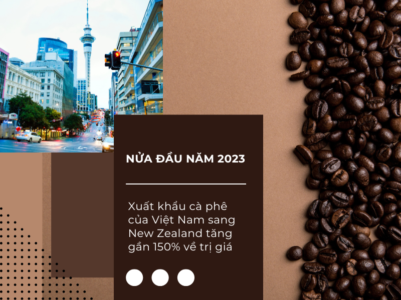 Việt Nam vượt Colombia thành nguồn cung cà phê lớn thứ 2 cho New Zealand