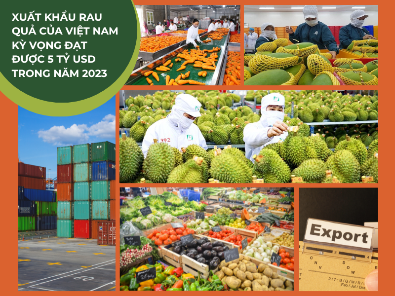 Rau quả Việt Nam có thể bứt phá đạt kỷ lục xuất khẩu 5 tỷ USD năm 2023