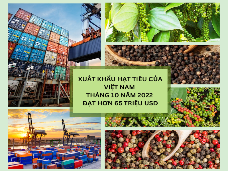 Tình hình xuất khẩu hạt tiêu của Việt Nam tháng 10 năm 2022
