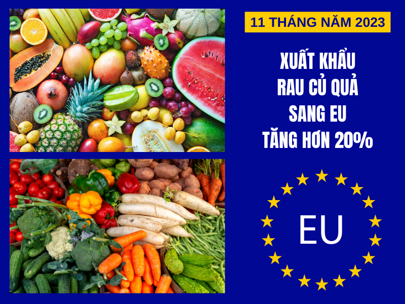 11 tháng năm 2023: Xuất khẩu rau củ quả sang EU đạt hơn 264 triệu USD