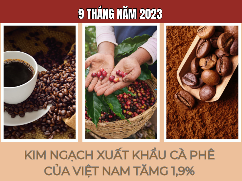 Quý 3/2023, xuất khẩu cà phê của Việt Nam đạt 774 triệu USD